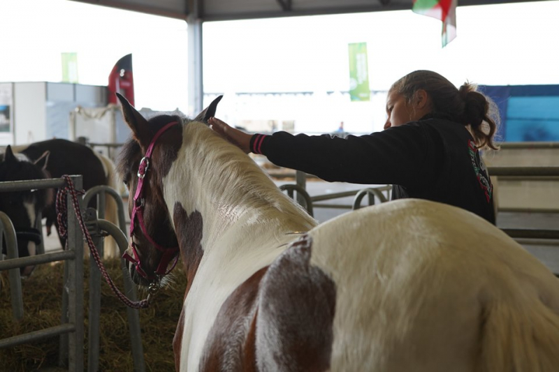 CFA Agricole Gironde - 33