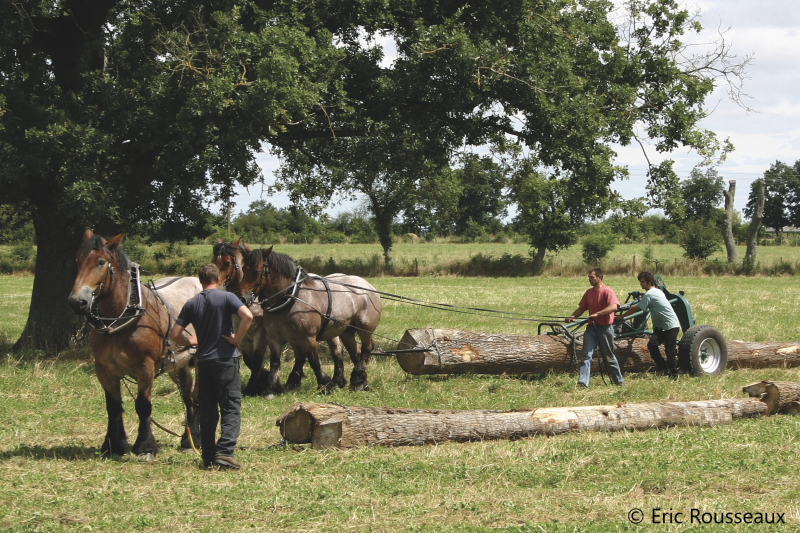 BAC PRO CGEA - Conduite et Gestion de l’Entreprise Agricole