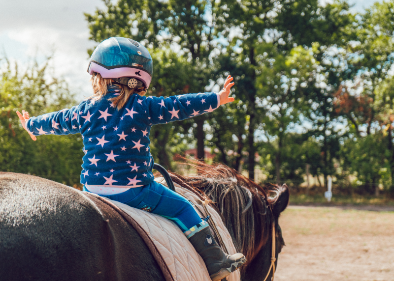 AE Animateur d'équitation