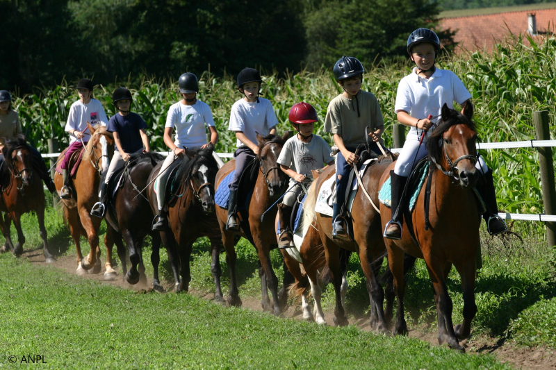 Enseignant/e d'équitation